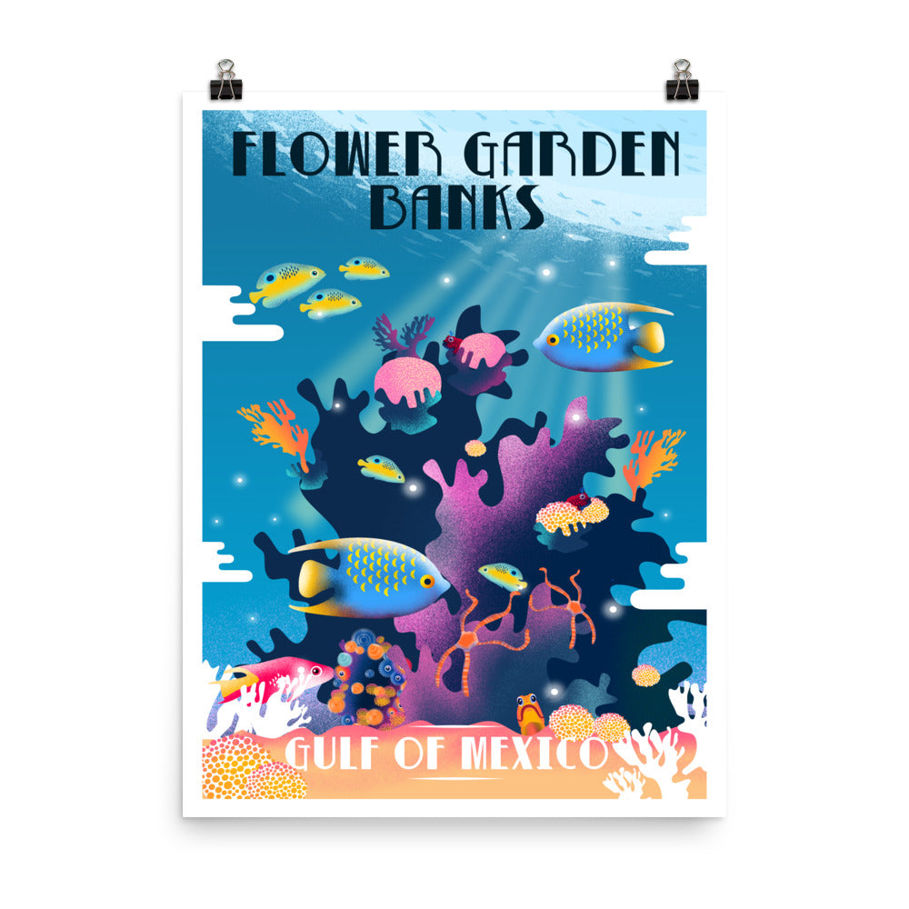 Flower Garden Banks poster, words flower garden banks and gulf of Mexico, multi-colored fish swimming in coral, size 16x20.