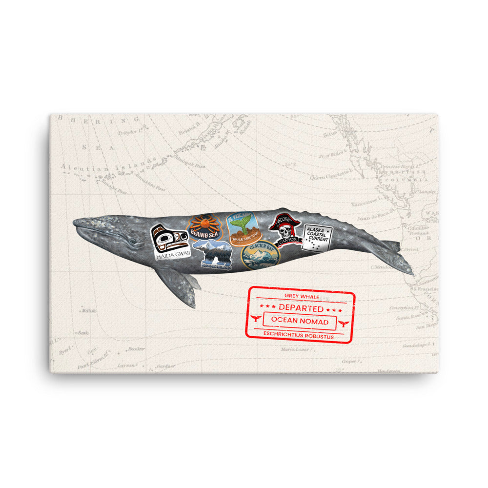 Gray whale ocean nomad wrapped canvas, size options 24x26, 18x24,16x20, and 12x16.