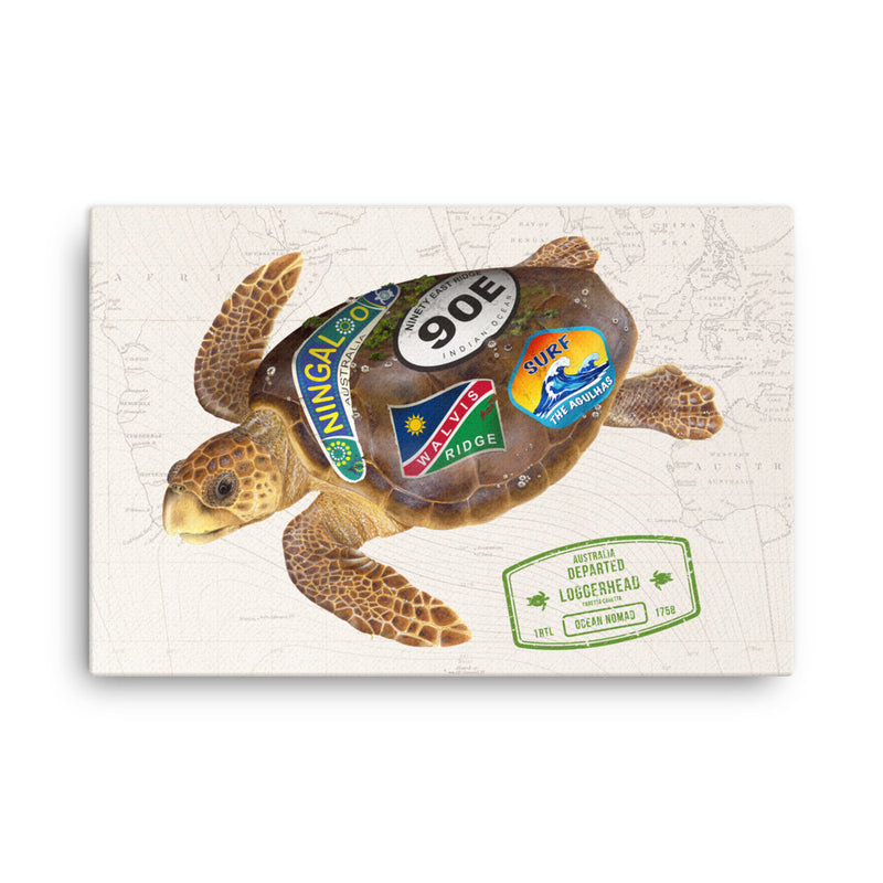 Loggerhead turtle ocean nomad wrapped canvas in sizes 24x26, 18x24,16x20, and 12x16.