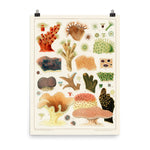 William Saville-Kent Stony corals poster in size 18x24.