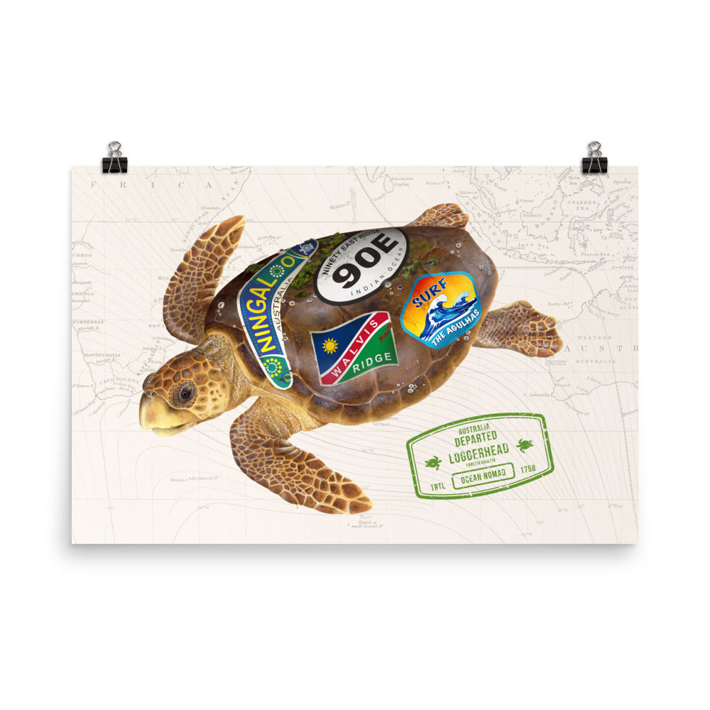 Loggerhead turtle ocean nomad poster, oceanography map, turtle swimming, travel stickers on shell, sizes 24x26, 18x24,16x20, 12x16.