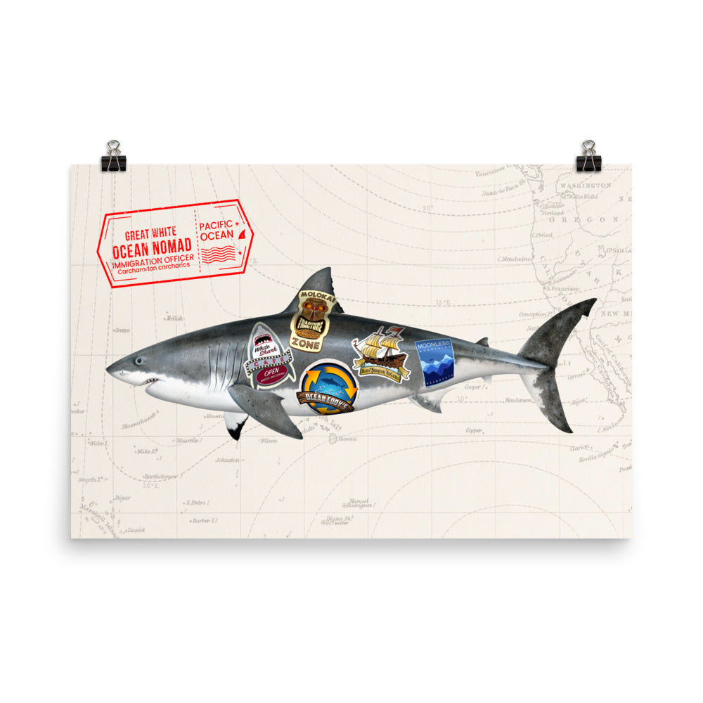 Great white ocean nomad poster, oceanography map and great white shark swimming, size options 24x26, 18x24,16x20, and 12x16.