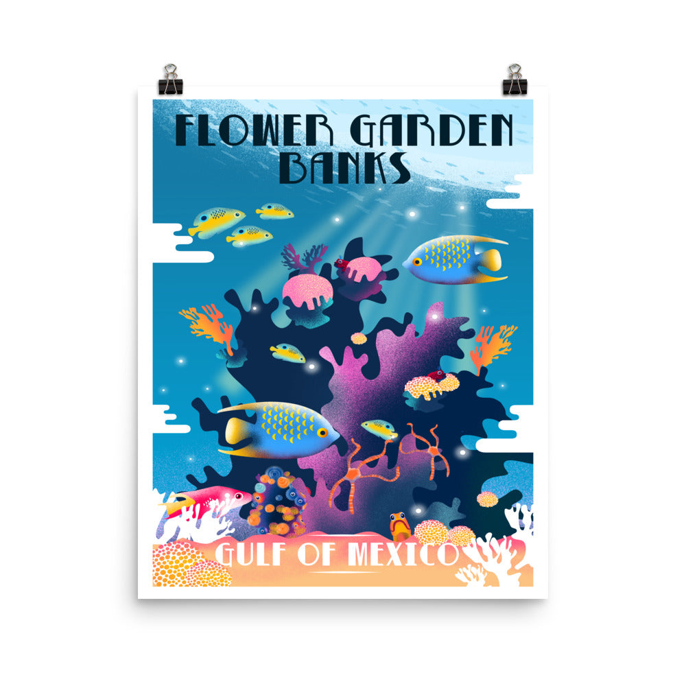 Flower Garden Banks poster, words flower garden banks and gulf of Mexico, multi-colored fish swimming in coral, size 16x20.