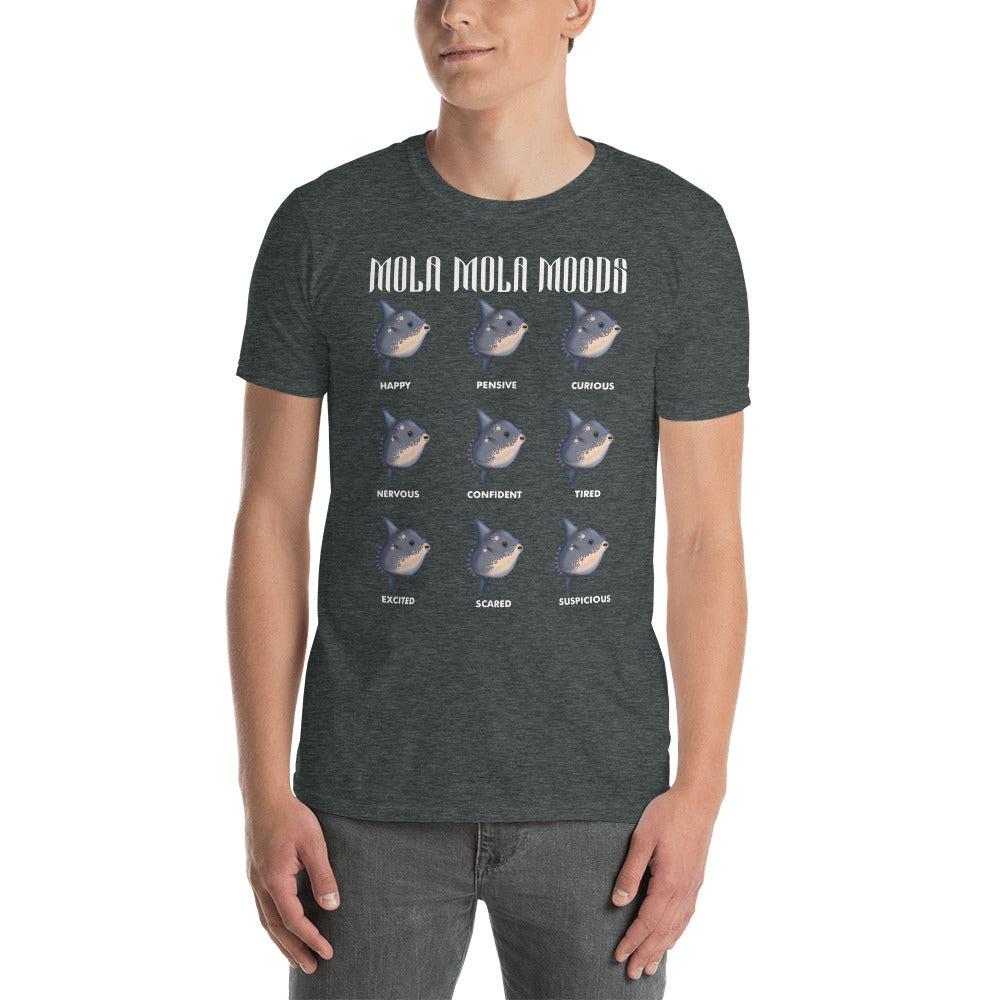 Person wearing short sleeve t-shirt with mola mola moods design in color dark heather, adult size 3XL.