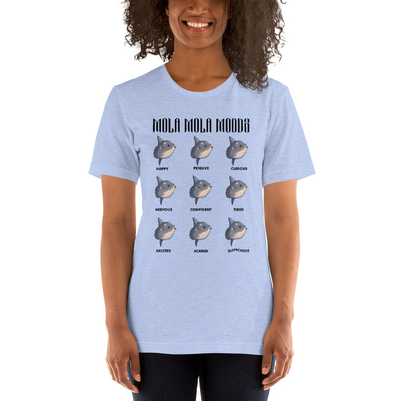Person wearing short sleeve t-shirt with mola mola moods design in color heather blue.