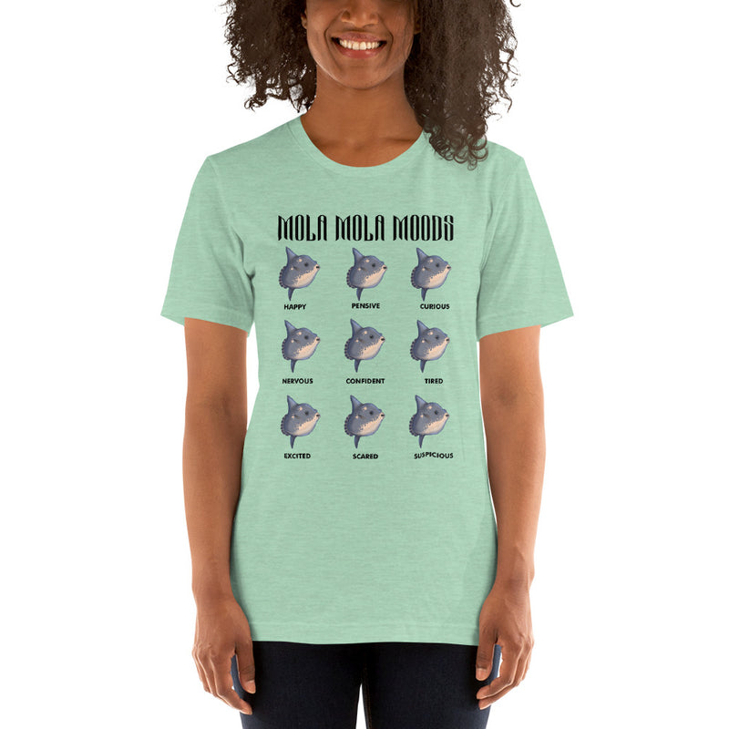 Person wearing short sleeve t-shirt with mola mola moods design in color heather prism mint, adult size XS. 
